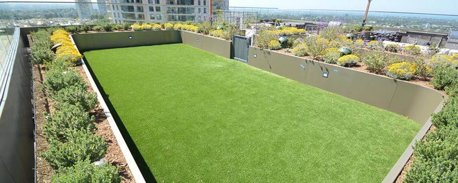 Roof deck artificial grass.