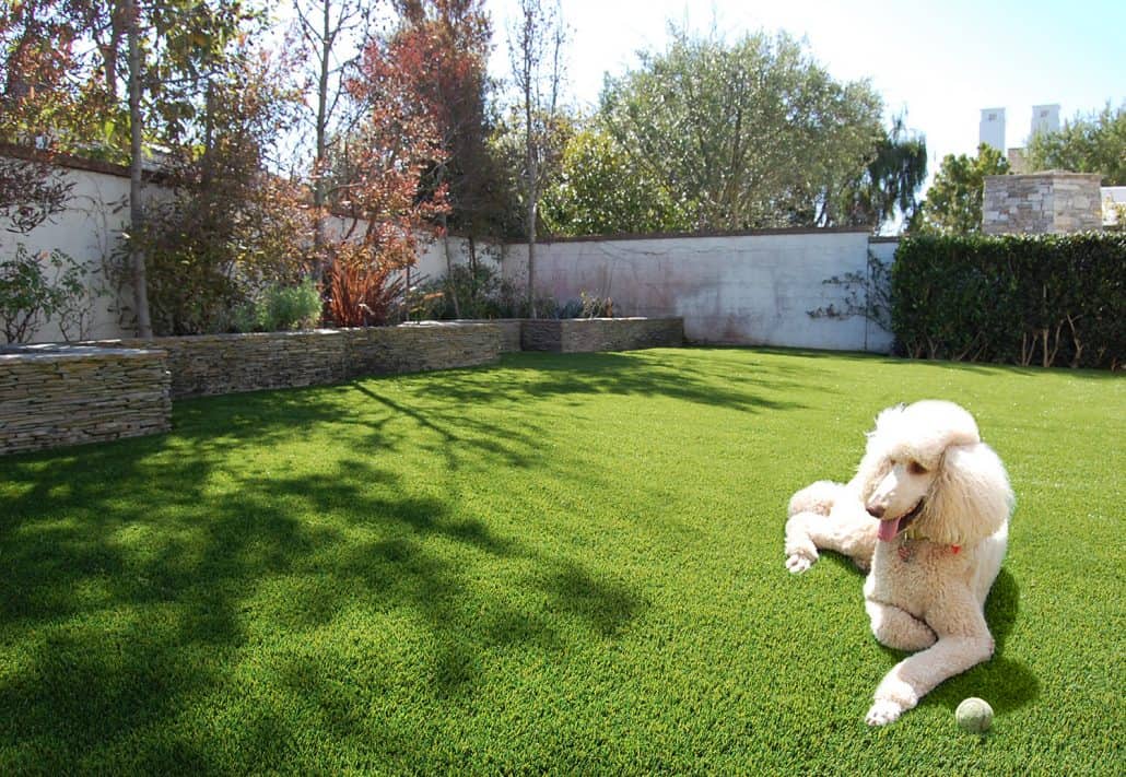 How Pet Turf Keeps Your Yard Clean and Fresh Year-Round
